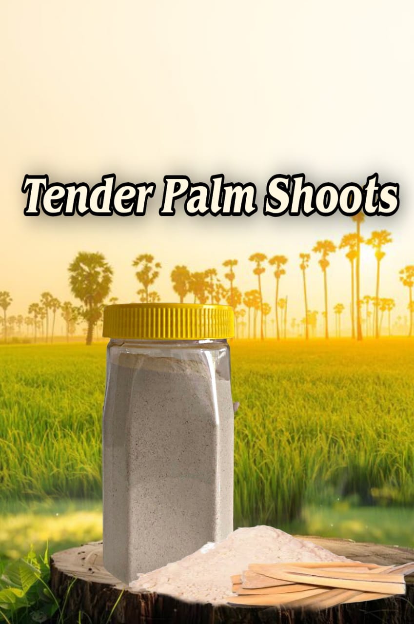 Tender Palm Shoots Powder, Palmyra sprouts powder | Panangilangu Maavu Organic