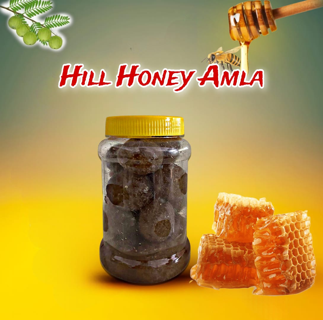 Natural Hill Honey Amla | Malai Thean Nelli