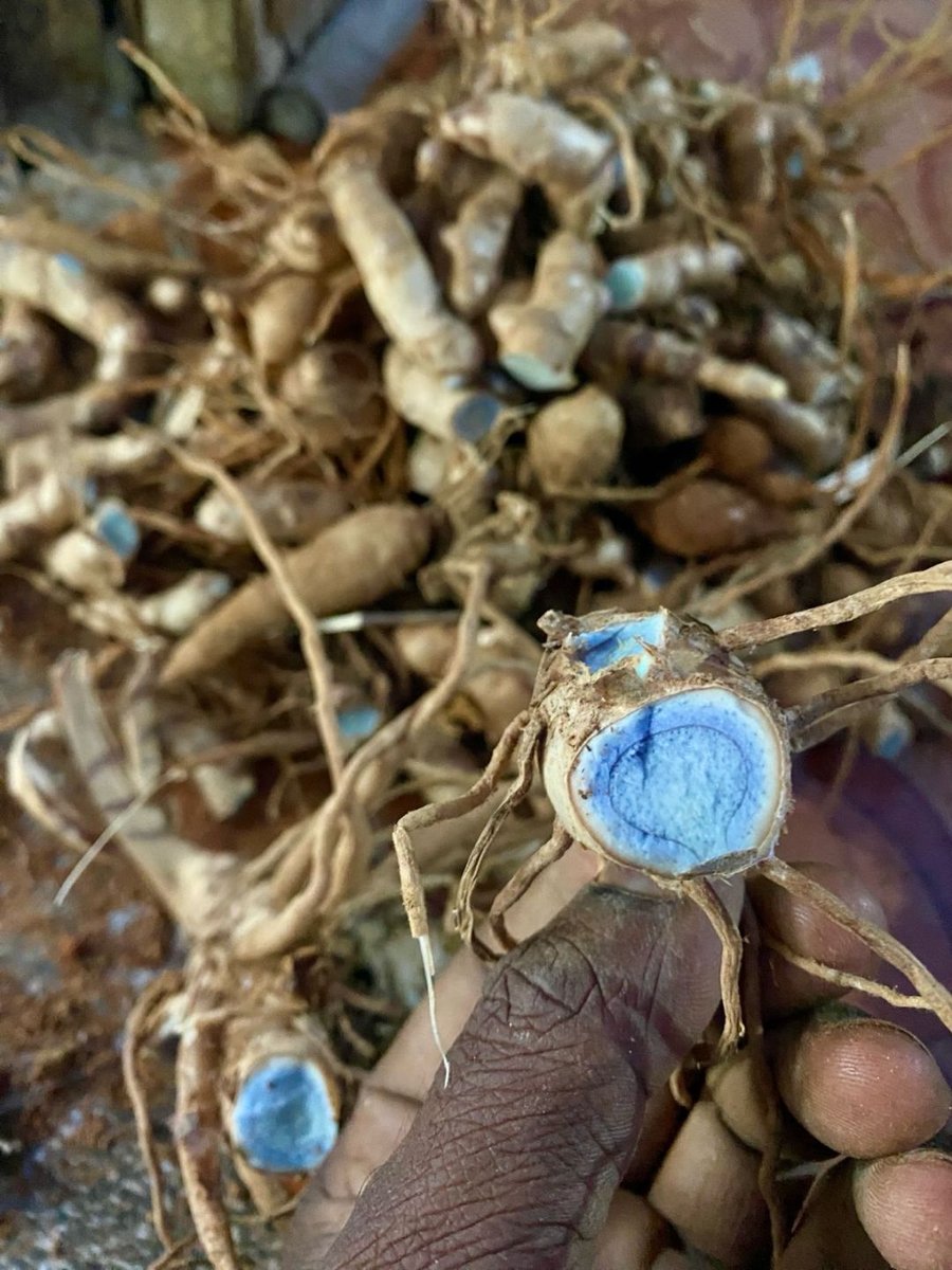 Home Boiled Kotttaram Samba Rice Organic